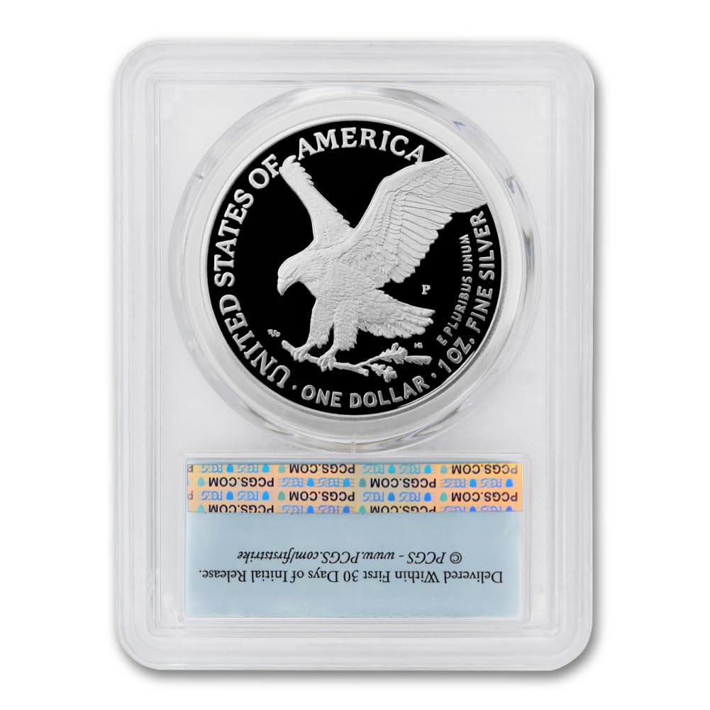 1 oz American Silver Eagle Coin N364