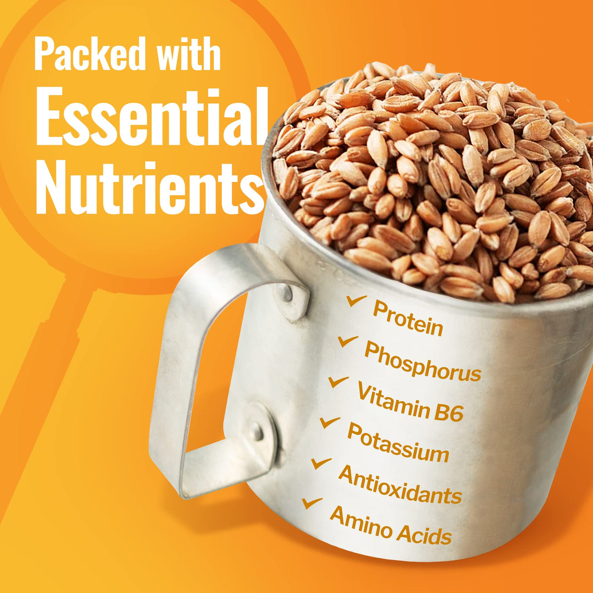100% Organic Hard White Wheat Berries 43 lbs R9940