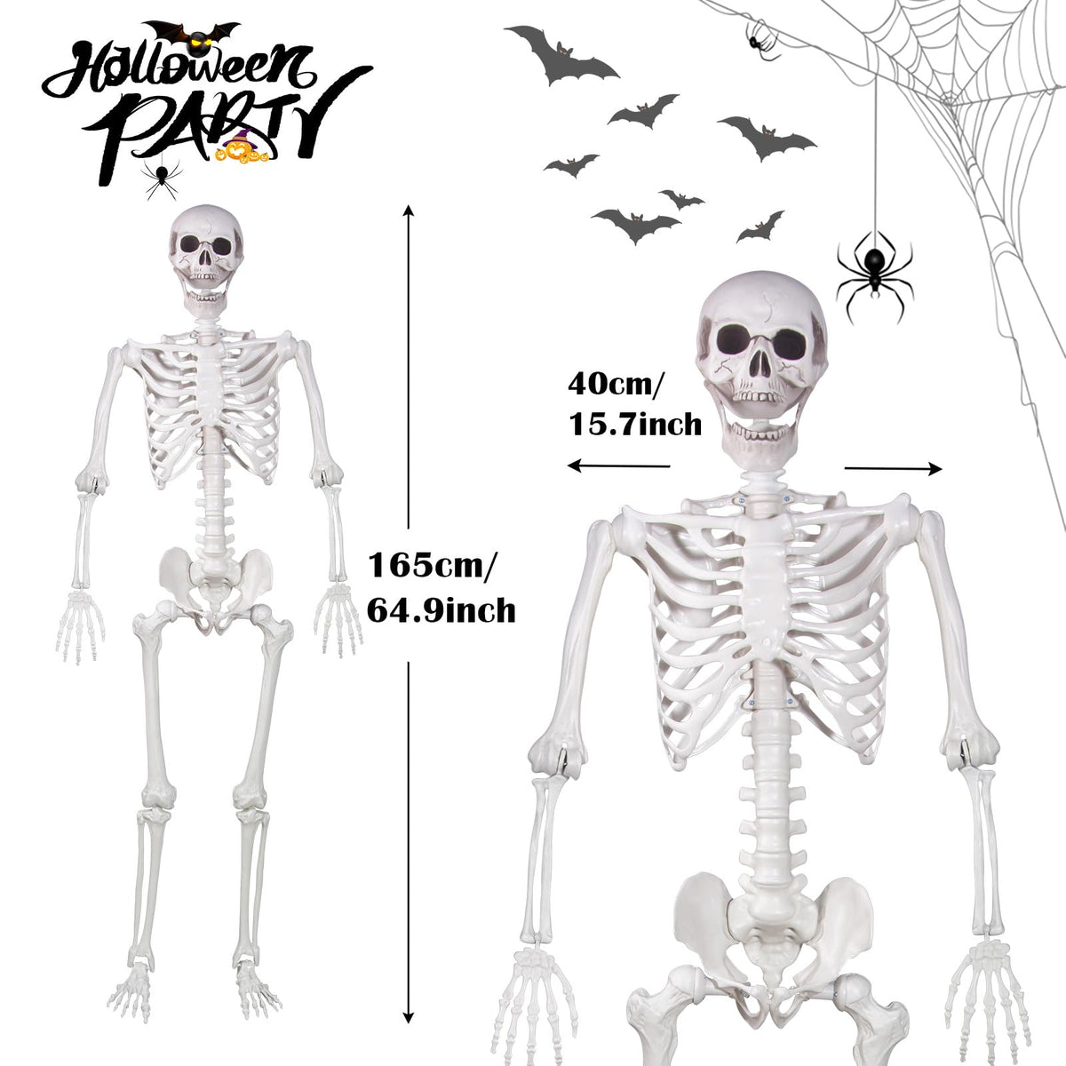 Life Size Skeleton with Movable Joints R6286