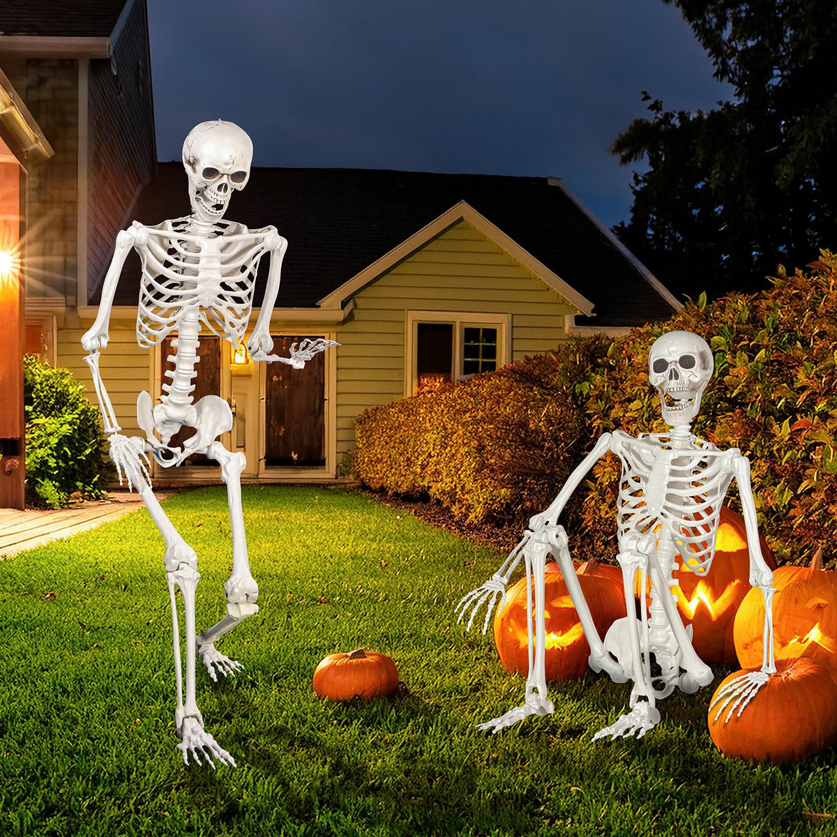 Life Size Skeleton with Movable Joints R6286