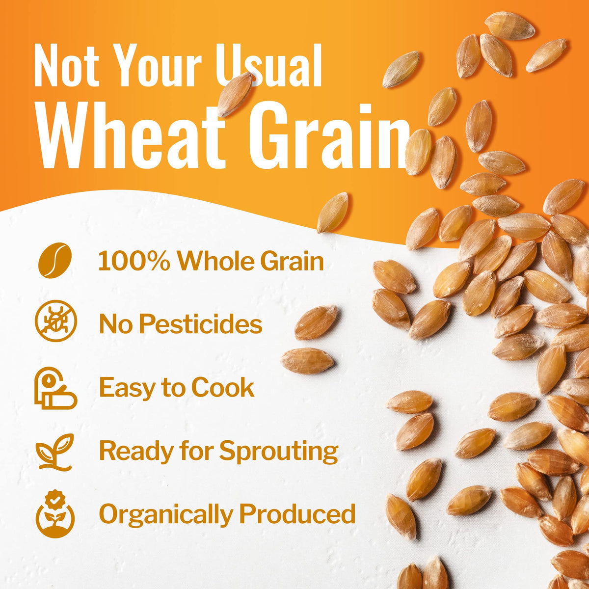 100% Organic Hard White Wheat Berries 43 lbs R9940