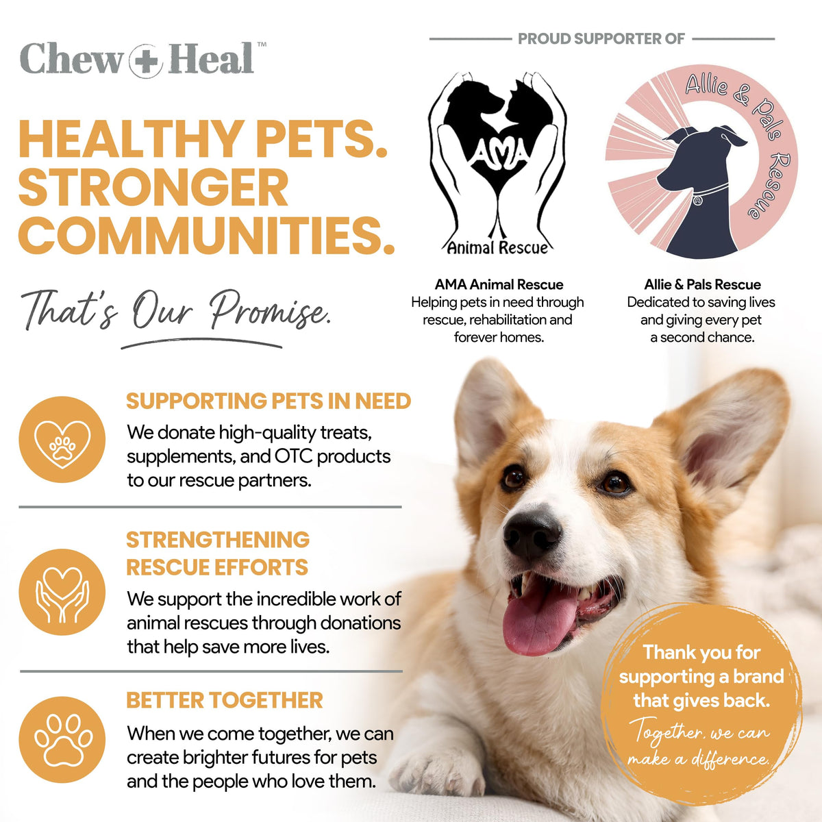 Fish Oil for Dogs 300mg 180 Softgel Capsules M691