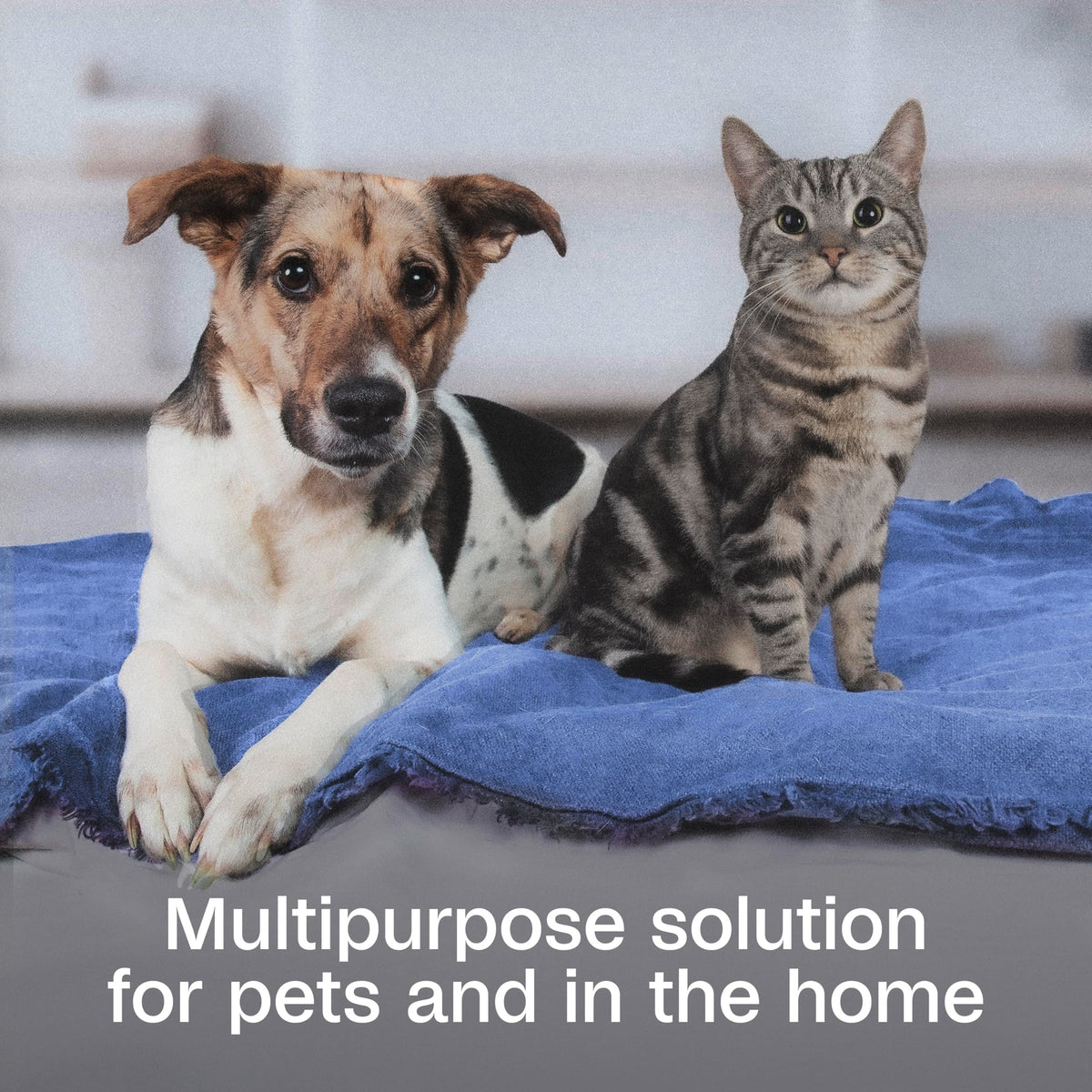 Flea & Tick Pet & Home Spray, 16 Oz Y1207